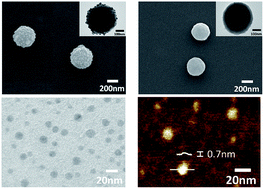 Graphical abstract: Ultrathin Janus nanodiscs