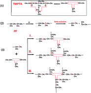 Graphical abstract: In situ ozonolysis of polypropylene during extrusion to produce long-chain branches with the aid of TMPTA