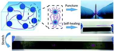 Graphical abstract: F127DA micelle cross-linked PAACA hydrogels with highly stretchable, puncture resistant and self-healing properties