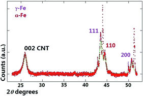 Graphical abstract: New insights on the dynamics of the γ-Fe/α-Fe phase-transition inside iron-filled carbon nanotubes