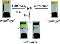 Graphical abstract: Naphthalimide-based fluorescent gelator for construction of both organogels and stimuli-responsive metallogels