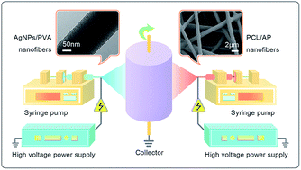 Graphical abstract: Fabrication of ascorbyl palmitate loaded poly(caprolactone)/silver nanoparticle embedded poly(vinyl alcohol) hybrid nanofibre mats as active wound dressings via dual-spinneret electrospinning