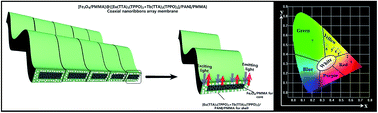 Graphical abstract: Assembly of 1D coaxial nanoribbons into 2D multicolor luminescence array membrane endowed with tunable anisotropic electrical conductivity and magnetism via electrospinning