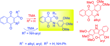 Graphical abstract: Synthetic approaches and in vitro cytotoxic evaluation of 2-acyl-3-(3,4,5-trimethoxyanilino)-1,4-naphthoquinones