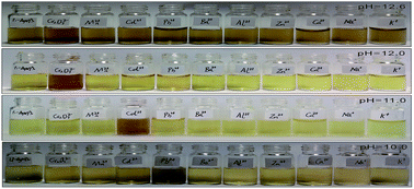 Graphical abstract: Perylene dye-functionalized silver nanoparticles serving as pH-dependent metal sensor systems