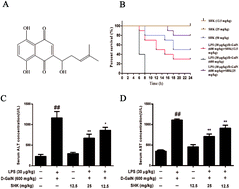 Graphical abstract: The protective effects of Shikonin on lipopolysaccharide/d-galactosamine-induced acute liver injury via inhibiting MAPK and NF-κB and activating Nrf2/HO-1 signaling pathways