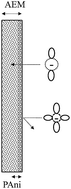 Graphical abstract: Influence of anion hydration status on selective properties of a commercial anion exchange membrane electrochemically impregnated with polyaniline deposits