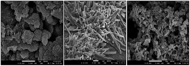 Graphical abstract: Polyaniline-modified nanocellulose prepared from Semantan bamboo by chemical polymerization: preparation and characterization