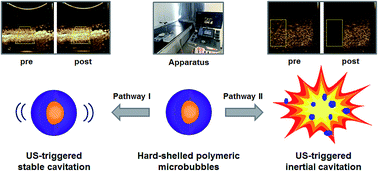 Graphical abstract: Multifunctional hard-shelled microbubbles for differentiating imaging, cavitation and drug release by ultrasound