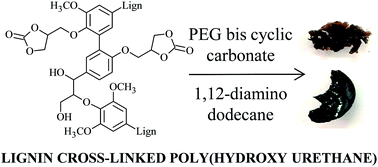 Graphical abstract: Utilization of cyclocarbonated lignin as a bio-based cross-linker for the preparation of poly(hydroxy urethane)s