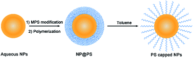 Graphical abstract: Dispersing hydrophilic nanoparticles in nonaqueous solvents with superior long-term stability