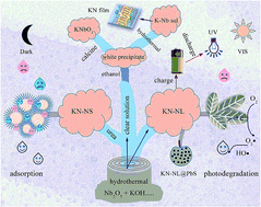 Graphical abstract: Boosted adsorption–photocatalytic activities and potential lithium intercalation applications of layered potassium hexaniobate nano-family