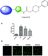 Graphical abstract: Design and discovery of novel thiazole derivatives as potential MMP inhibitors to protect against acute lung injury in sepsis rats via attenuation of inflammation and apoptotic oxidative stress