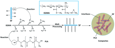 Graphical abstract: In situ reactive interfacial compatibilization of polylactide/sisal fiber biocomposites via melt-blending with an epoxy-functionalized terpolymer elastomer