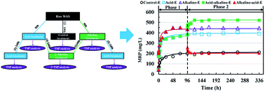 Graphical abstract: Transformation and release of phosphorus from waste activated sludge upon combined acid/alkaline treatment