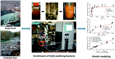 Graphical abstract: Bioreactors for low-pH iron(ii) oxidation remove considerable amounts of total iron