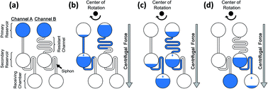 Graphical abstract: Autonomous and complex flow control involving multistep injection and liquid replacement in a reaction chamber on steadily rotating centrifugal microfluidic devices