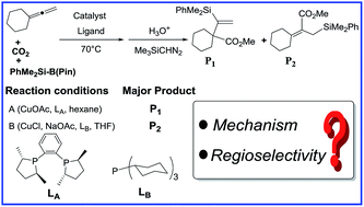 Graphical abstract: Mechanistic study on ligand-controlled copper-catalyzed regiodivergent silacarboxylation of allenes with carbon dioxide and silylborane