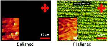 Graphical abstract: Induced alignment of a reactive mesogen-based polymer electrolyte for dye-sensitised solar cells