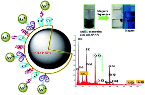 Graphical abstract: Predictive modeling and validation of arsenite removal by a one pot synthesized bioceramic buttressed manganese doped iron oxide nanoplatform