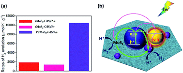 Graphical abstract: Integrating metallic nanoparticles of Au and Pt with MoS2–CdS hybrids for high-efficient photocatalytic hydrogen generation via plasmon-induced electron and energy transfer