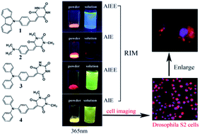 Graphical abstract: Facile fabrication of AIE/AIEE-active fluorescent nanoparticles based on barbituric for cell imaging applications