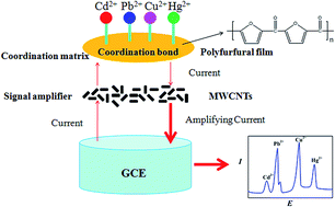 Graphical abstract: Coordination matrix/signal amplifier strategy for simultaneous electrochemical determination of cadmium(ii), lead(ii), copper(ii), and mercury(ii) ions based on polyfurfural film/multi-walled carbon nanotube modified electrode