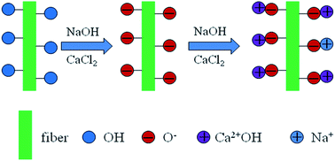 Graphical abstract: In situ inorganic flame retardant modified hemp and its polypropylene composites