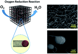 Graphical abstract: Co9S8 activated N/S co-doped carbon tubes in situ grown on carbon nanofibers for efficient oxygen reduction