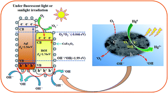 Graphical abstract: Magnetically separable AgI–BiOI/CoFe2O4 hybrid composites for Hg0 removal: characterization, activity and mechanism