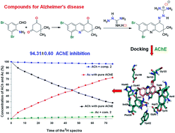 Graphical abstract: A new guanylhydrazone derivative as a potential acetylcholinesterase inhibitor for Alzheimer's disease: synthesis, molecular docking, biological evaluation and kinetic studies by nuclear magnetic resonance