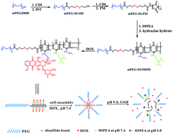 Graphical abstract: A dual pH- and reduction-responsive anticancer drug delivery system based on PEG–SS–poly(amino acid) block copolymer