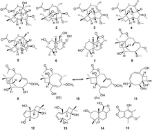 Graphical abstract: Highly oxygenated caryophyllene-type and drimane-type sesquiterpenes from Pestalotiopsis adusta, an endophytic fungus of Sinopodophyllum hexandrum