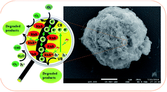 Graphical abstract: One-step synthesis of composite material MWCNT@BiVO4 and its photocatalytic activity