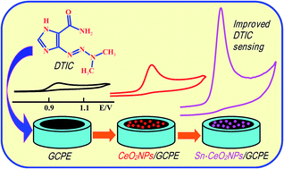 Graphical abstract: Fabrication of a new biosensor based on a Sn doped ceria nanoparticle modified glassy carbon paste electrode for the selective determination of the anticancer drug dacarbazine in pharmaceuticals