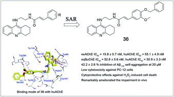 Graphical abstract: Design, synthesis, in vitro and in vivo evaluation of tacrine–cinnamic acid hybrids as multi-target acetyl- and butyrylcholinesterase inhibitors against Alzheimer's disease