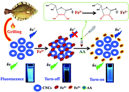 Graphical abstract: A fluorescence turn-off-on chemosensor based on carbon nanocages for detection of ascorbic acid