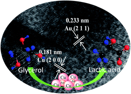 Graphical abstract: Hydrothermal conversion of high-concentrated glycerol to lactic acid catalyzed by bimetallic CuAux (x = 0.01–0.04) nanoparticles and their reaction kinetics