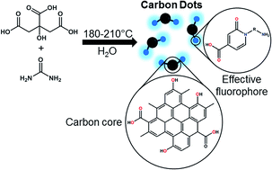 Graphical abstract: Shedding light on the effective fluorophore structure of high fluorescence quantum yield carbon nanodots