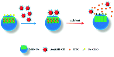 Graphical abstract: A redox responsive controlled release system using mesoporous silica nanoparticles capped with Au nanoparticles