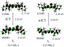 Graphical abstract: The photoprocess effects of an amino group located at different positions along the polymethine chain in indodicarbocyanine dyes