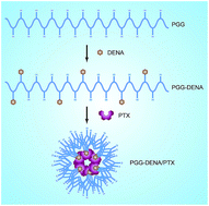 Graphical abstract: Hydrotropic polymer-based paclitaxel-loaded self-assembled nanoparticles: preparation and biological evaluation