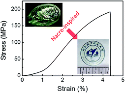 Graphical abstract: A biomimetic ion-crosslinked layered double hydroxide/alginate hybrid film