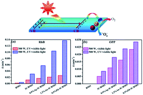 Graphical abstract: Steering photoinduced charge kinetics via anionic group doping in Bi2MoO6 for efficient photocatalytic removal of water organic pollutants