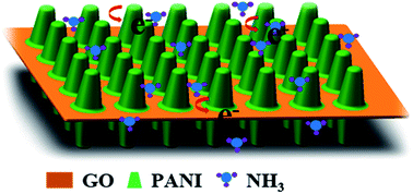 Graphical abstract: Vertically aligned PANI nanorod arrays grown on graphene oxide nanosheets for a high-performance NH3 gas sensor