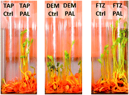 Graphical abstract: Promoting lentil germination and stem growth by plasma activated tap water, demineralized water and liquid fertilizer