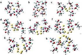 Graphical abstract: Insight on lithium polysulfide intermediates in a Li/S battery by density functional theory