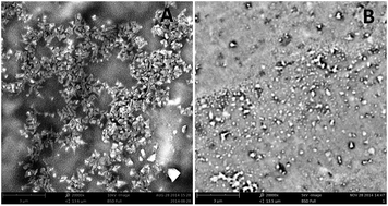 Graphical abstract: Novel imprinted polyethyleneimine nano-fluorescent probes with controllable selectivity for recognizing and adsorbing metal ions