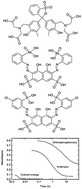 Graphical abstract: Complications in complexation kinetics for lanthanides with DTPA using dye probe molecules in aqueous solution