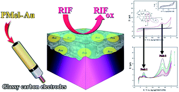 Graphical abstract: Sensitive electrochemical determination of rifampicin using gold nanoparticles/poly-melamine nanocomposite